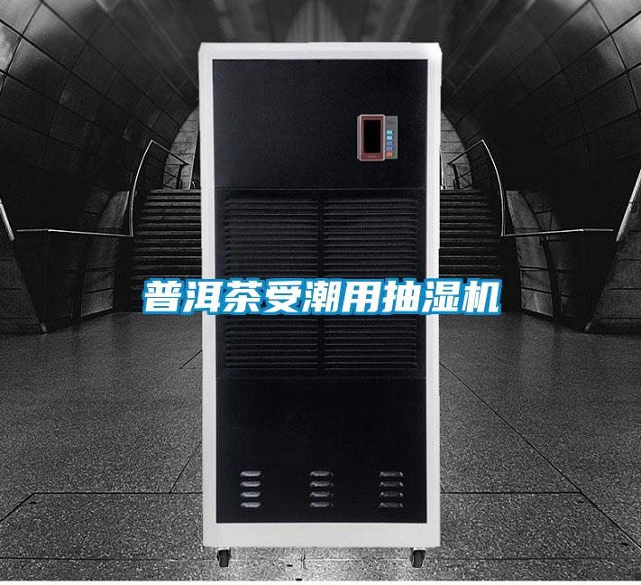普洱茶受潮用抽濕機(jī)