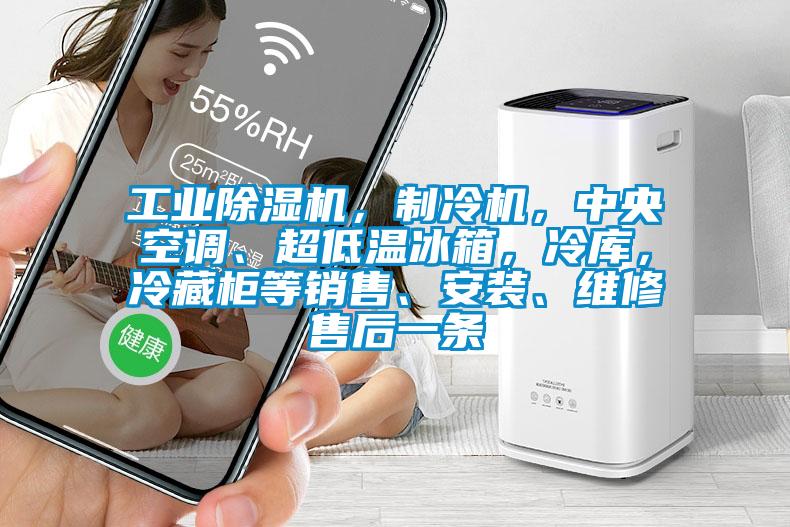 工業(yè)除濕機(jī)，制冷機(jī)，中央空調(diào)、超低溫冰箱，冷庫，冷藏柜等銷售、安裝、維修售后一條