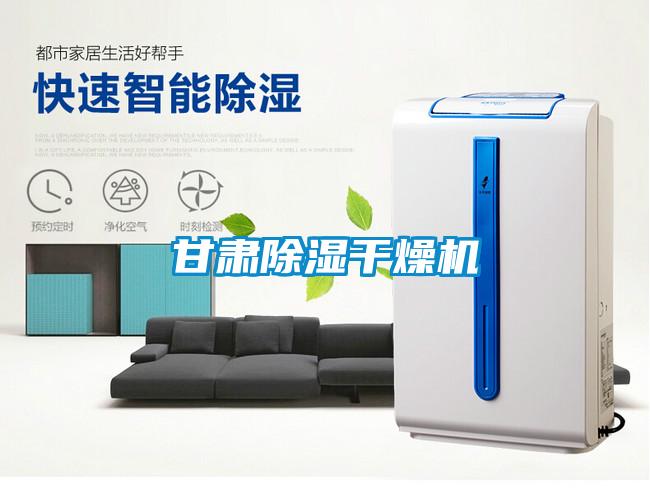 甘肅除濕干燥機