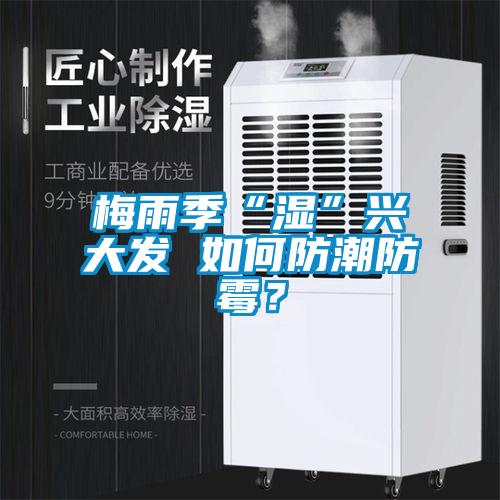 梅雨季“濕”興大發(fā) 如何防潮防霉?
