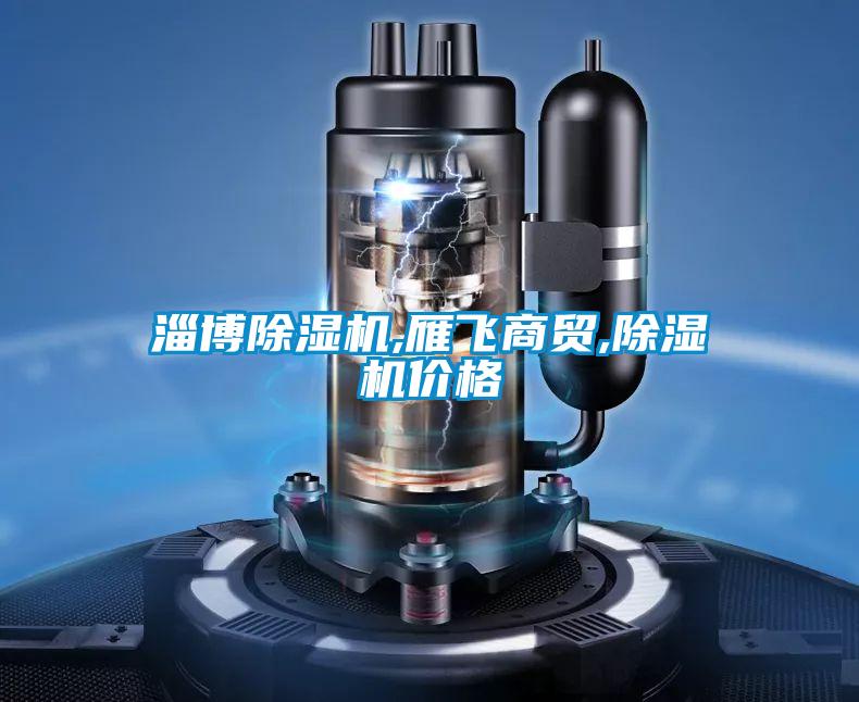 淄博除濕機,雁飛商貿,除濕機價格