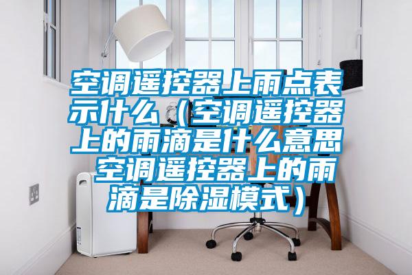 空調(diào)遙控器上雨點(diǎn)表示什么(空調(diào)遙控器上的雨滴是什么意思 空調(diào)遙控器上的雨滴是除濕模式)