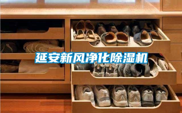 延安新風凈化除濕機
