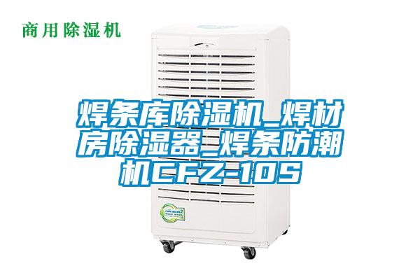 焊條庫除濕機_焊材房除濕器_焊條防潮機CFZ-10S