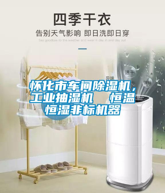 懷化市車間除濕機(jī)，工業(yè)抽濕機(jī)  恒溫恒濕非標(biāo)機(jī)器