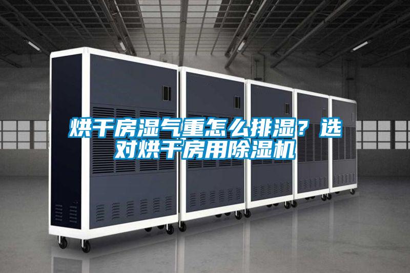 烘干房濕氣重怎么排濕？選對烘干房用除濕機
