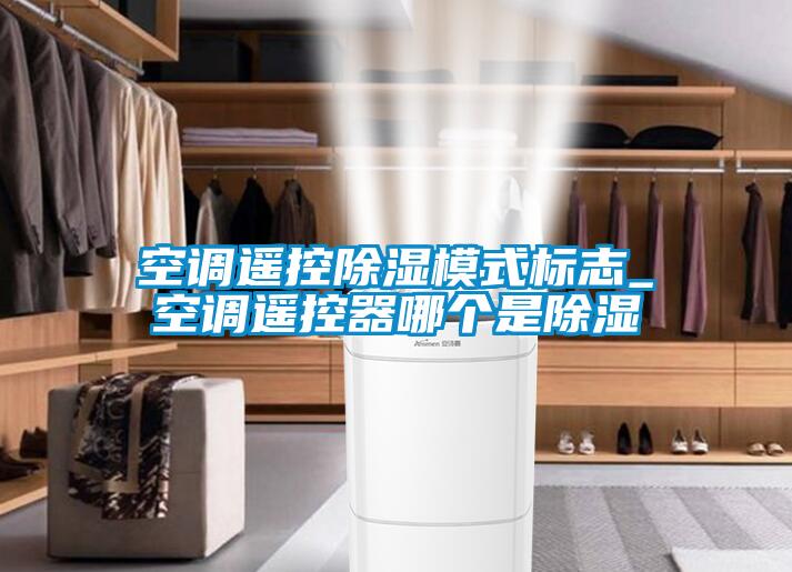 空調(diào)遙控除濕模式標(biāo)志_空調(diào)遙控器哪個(gè)是除濕