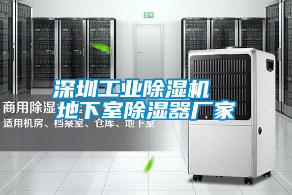 深圳工業(yè)除濕機(jī) 地下室除濕器廠家