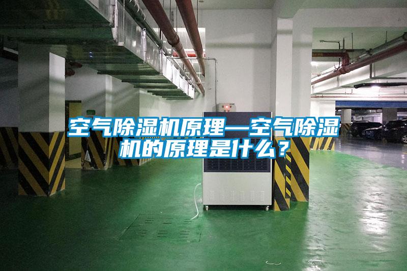 空氣除濕機原理—空氣除濕機的原理是什么？