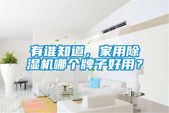 有誰(shuí)知道，家用除濕機(jī)哪個(gè)牌子好用？