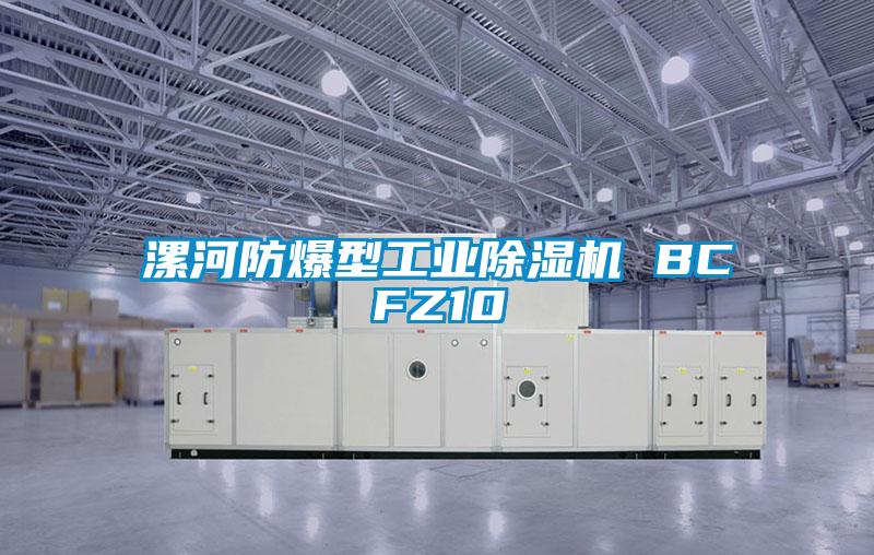 漯河防爆型工業(yè)除濕機 BCFZ10