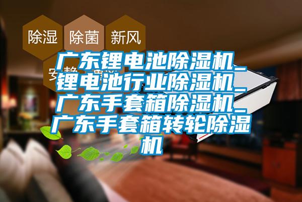 廣東鋰電池除濕機(jī)_鋰電池行業(yè)除濕機(jī)_廣東手套箱除濕機(jī)_廣東手套箱轉(zhuǎn)輪除濕機(jī)