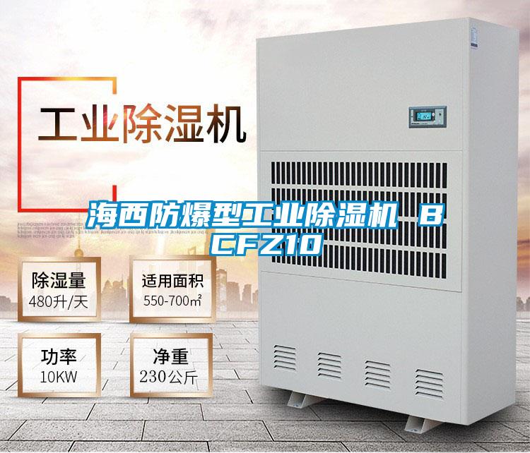 海西防爆型工業除濕機 BCFZ10