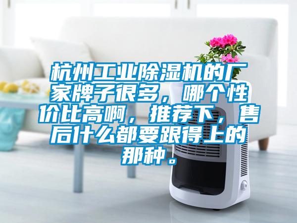 杭州工業除濕機的廠家牌子很多，哪個性價比高啊，推薦下，售后什么都要跟得上的那種。
