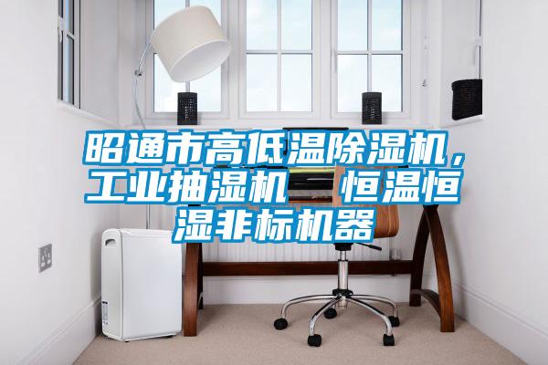 昭通市高低溫除濕機,工業(yè)抽濕機 恒溫恒濕非標機器