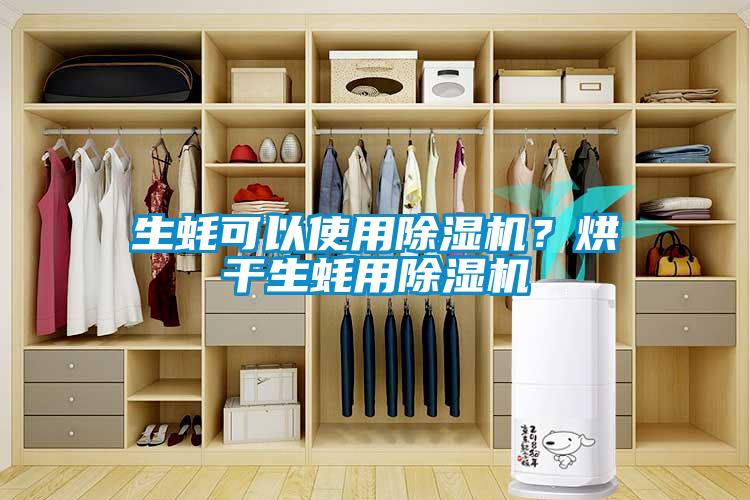 生蠔可以使用除濕機?烘干生蠔用除濕機
