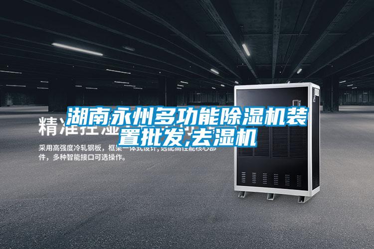 湖南永州多功能除濕機(jī)裝置批發(fā),去濕機(jī)