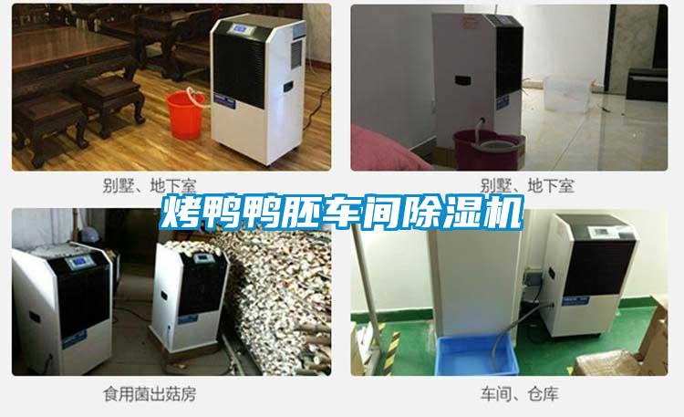 烤鴨鴨胚車間除濕機