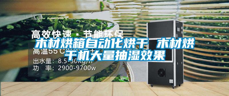 木材烘箱自動化烘干 木材烘干機(jī)大量抽濕效果