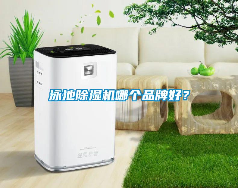 泳池除濕機哪個品牌好？