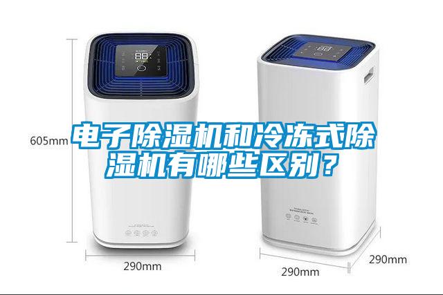 電子除濕機和冷凍式除濕機有哪些區別？