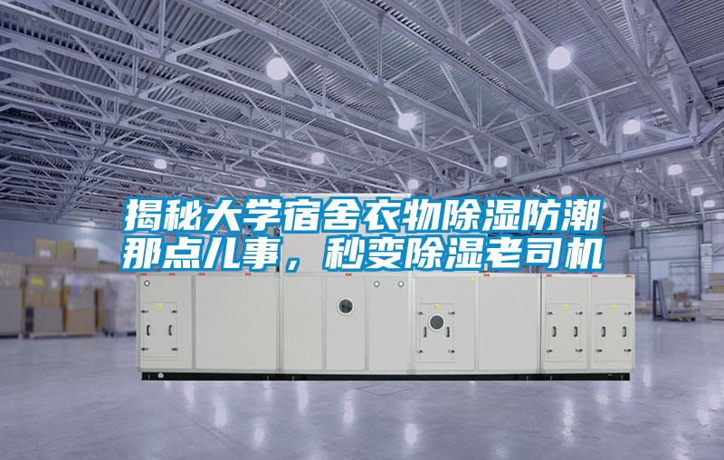 揭秘大學宿舍衣物除濕防潮那點兒事，秒變除濕老司機
