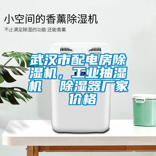 武漢市配電房除濕機，工業(yè)抽濕機  除濕器廠家 價格
