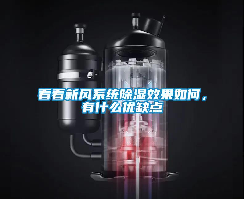 看看新風(fēng)系統(tǒng)除濕效果如何，有什么優(yōu)缺點