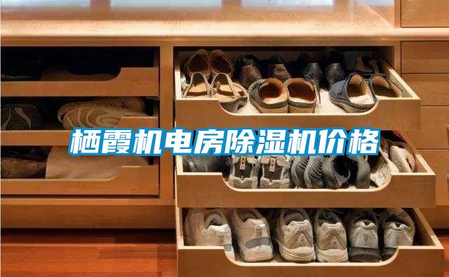 棲霞機電房除濕機價格
