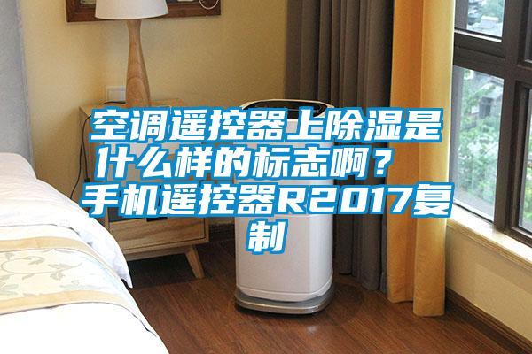 空調(diào)遙控器上除濕是什么樣的標(biāo)志??？ 手機(jī)遙控器R2017復(fù)制