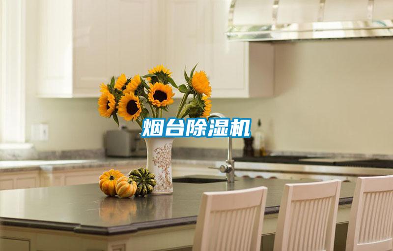 煙臺(tái)除濕機(jī)
