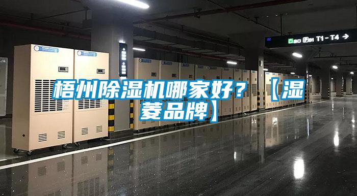 梧州除濕機哪家好？【濕菱品牌】