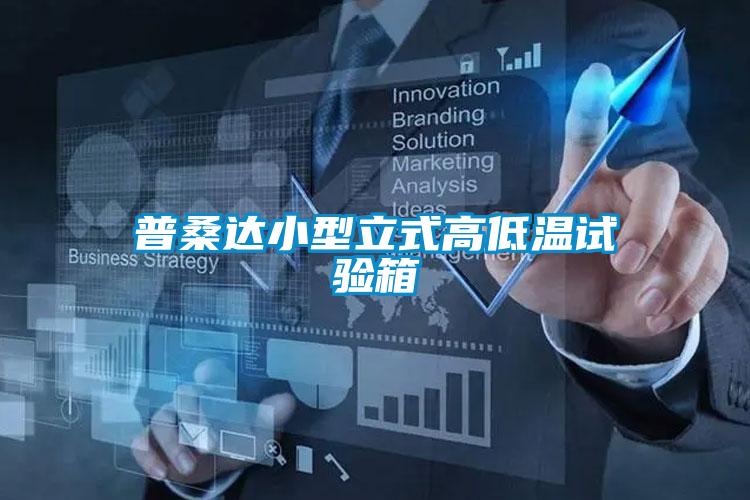 普桑達小型立式高低溫試驗箱