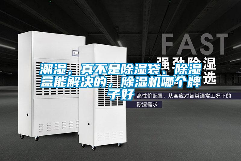 潮濕，真不是除濕袋、除濕盒能解決的，除濕機(jī)哪個(gè)牌子好