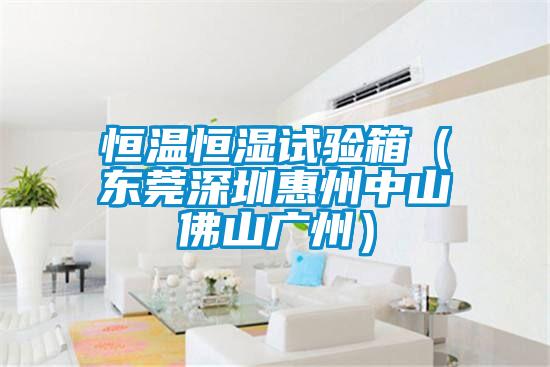 恒溫恒濕試驗箱(東莞深圳惠州中山佛山廣州)