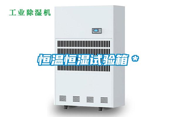恒溫恒濕試驗箱*