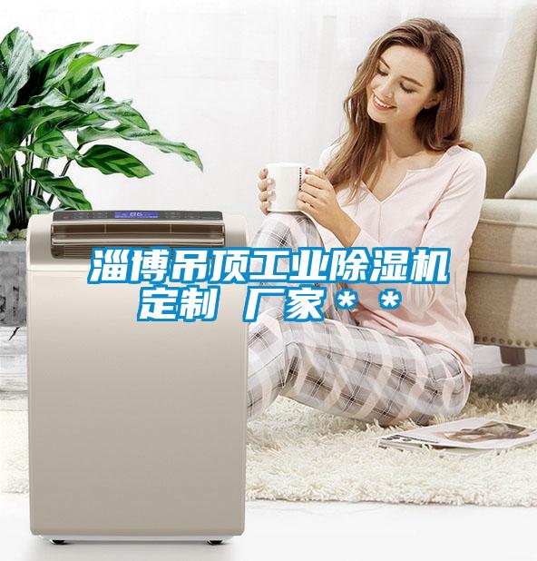淄博吊頂工業除濕機定制 廠家**