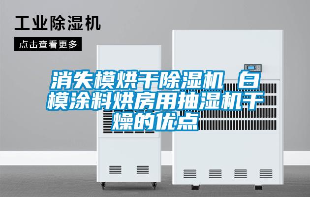 消失模烘干除濕機(jī) 白模涂料烘房用抽濕機(jī)干燥的優(yōu)點(diǎn)