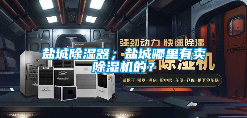 鹽城除濕器；鹽城哪里有賣除濕機(jī)的？