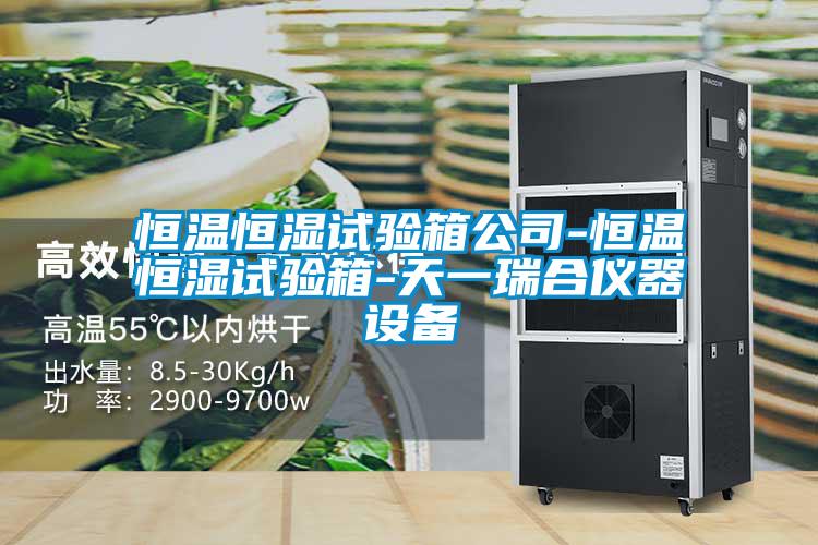 恒溫恒濕試驗箱公司-恒溫恒濕試驗箱-天一瑞合儀器設備