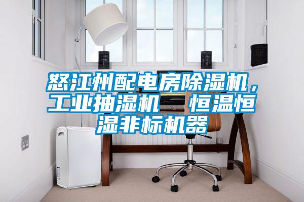 怒江州配電房除濕機(jī)，工業(yè)抽濕機(jī)  恒溫恒濕非標(biāo)機(jī)器