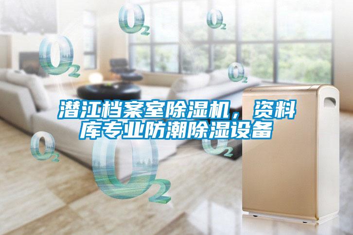 潛江檔案室除濕機，資料庫專業(yè)防潮除濕設備