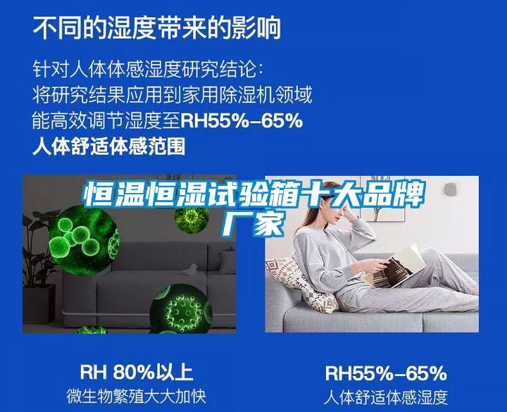 恒溫恒濕試驗(yàn)箱十大品牌廠家