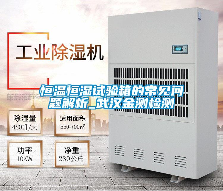 恒溫恒濕試驗(yàn)箱的常見問題解析_武漢金測檢測