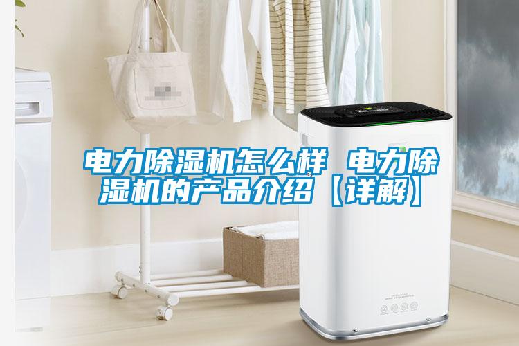 電力除濕機怎么樣 電力除濕機的產品介紹【詳解】