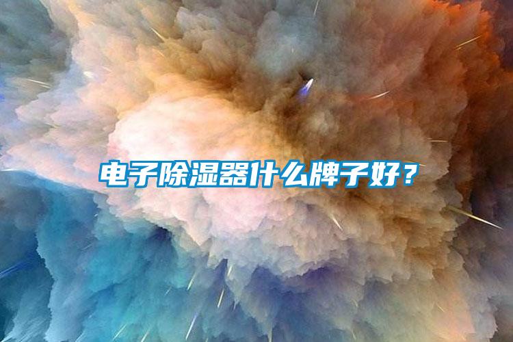 電子除濕器什么牌子好？