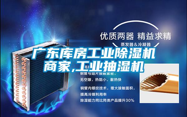 廣東庫房工業(yè)除濕機(jī)商家,工業(yè)抽濕機(jī)
