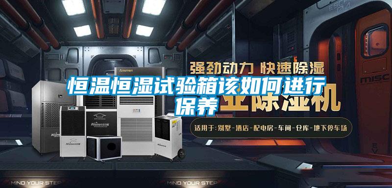 恒溫恒濕試驗箱該如何進行保養