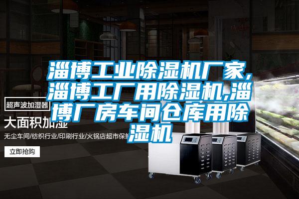 淄博工業(yè)除濕機(jī)廠家,淄博工廠用除濕機(jī),淄博廠房車間倉庫用除濕機(jī)