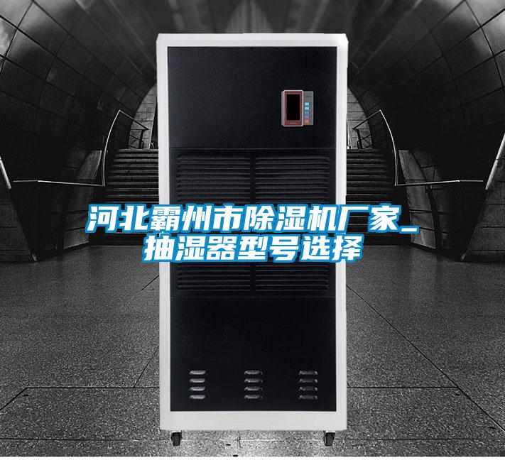 河北霸州市除濕機廠家_抽濕器型號選擇